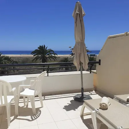 Pinkfloyd Im Palm Garden Appartamento *